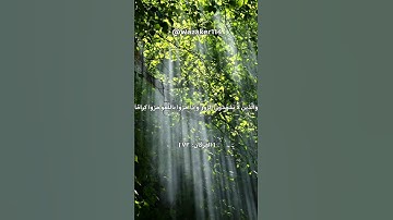 آيات من سورة الفرقان 🤍 #quran_alkarim #quran #قرآن #القرآن_الكريم
