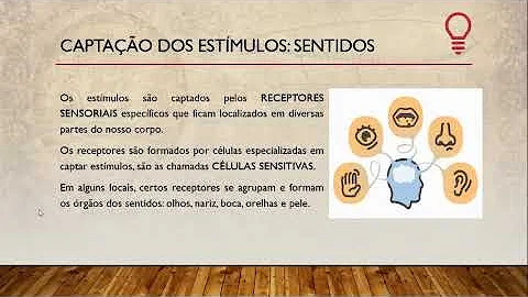 Como podemos perceber os estímulos ambientais?