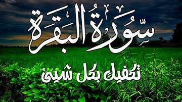 سورة البقرة كاملة 🌹 لزيادة الرزق ولحفظ وتحصين المنزل بصوت جميل وهادئ 💚SURAH ALBAQARA 🌹