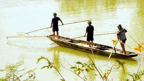 Hướng dẫn thả cáp kích cá da trơn,kích lạnh,xuyệt lạnh cơ,sdt 08-5678-3586