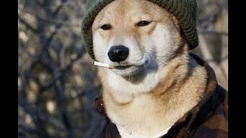 I could be bounded in a nutshell and count myself a king of infinite space, were it not for big Ls