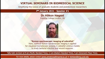 Dr Hakon Hogset: Raman spectroscopic imaging of zebrafish (7th Jan 2021)