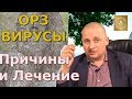 ОРЗ, вирусные заболевания, иммунитет. Причины и лечение. Вебинар  по здоровью.