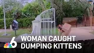 Woman seen dumping box of kittens at park and abandoning them