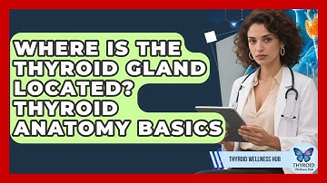 Where Is The Thyroid Gland Located? Thyroid Anatomy Basics - Thyroid Wellness Hub