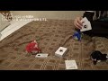 [ボードゲーム]テストプレイなんてしてないよ をやってみたpart1