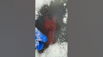 Found a Frozen SPRUNKI Under The Ice From INCREDIBOX  in REAL LIFE