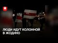 Колонна людей в Жодино вечером 27 декабря