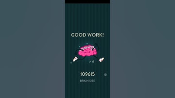 Wordbrain Kraken Level 13 Answers | WORDBRAIN KRAKEN ANSWERS