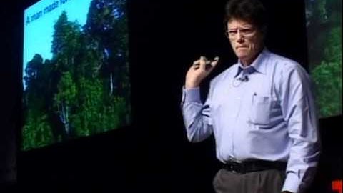 TEDxPearlRiver - Willie Smits - Conservation