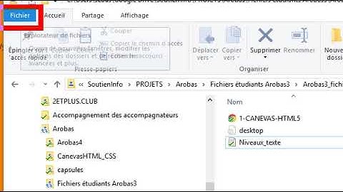 Afficher les extensions de fichiers sous Windows 10