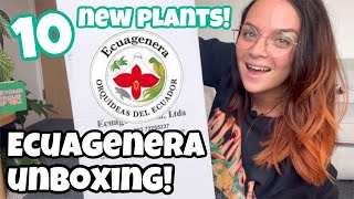 HUGE ECUAGENERA UNBOXING 📦🪴 Unboxing houseplant imports ✈️  Check out my 10 new houseplants! 👀