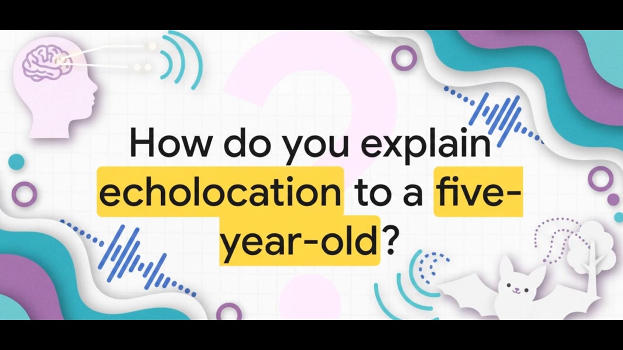 How do you explain echolocation to a five-year old ? - YouTube