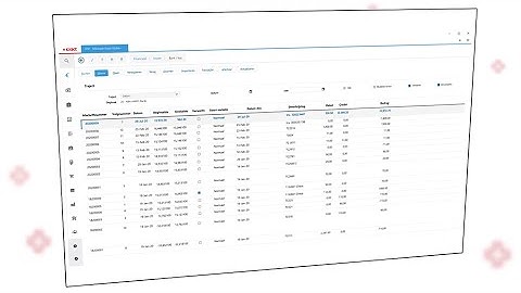Exact Globe Plus Video