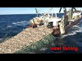 Amazing commercial fishing by trawl - Net Fishing Hundreds of tons of fish are caught on the boat