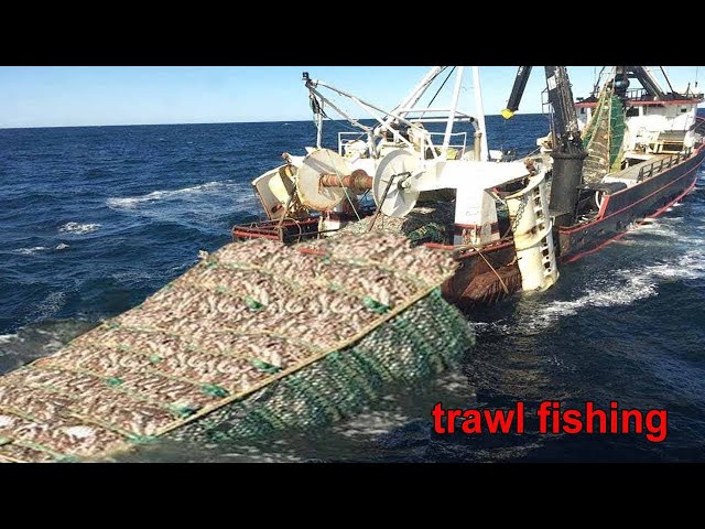 Amazing commercial fishing by trawl - Net Fishing Hundreds of tons of fish  are caught on the boat 