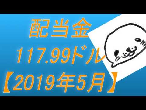 【不労所得報告】米国株配当金は117.99USドルでした！【2019年5月】