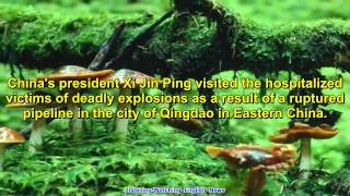 ICRT EZ News (subtitles) 11/25/13 -- Listening-Watching English News