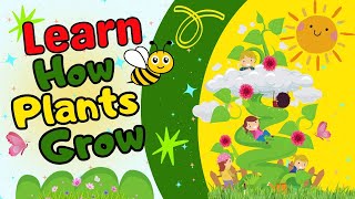 How Plants Grow | Bedtime Stories for Kids | Nature Stories