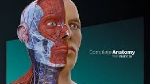 Complete Anatomy - A User