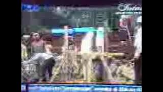 Download lagu RCTI Silet - Hadi Susilo Arifin - Kebun Raya Bogor