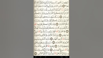 ماهر المعيقلي سورة إبراهيم مكتوبة صفحة 261 مصحف المدينة المنورة جودة عالية