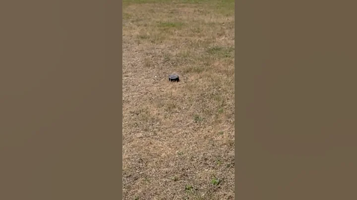 HUGE problem.... solution in video in bio