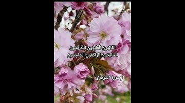 تلاوة طيبة من سورة التوبة🍃quran#