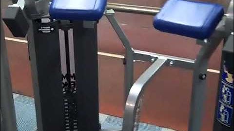 GBC Hammer Strength Bicep Curl