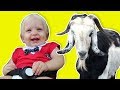 فوزي موزي وتوتي &ndash; بيبي آدم جوعان &ndash; Baby Adam is hungry
