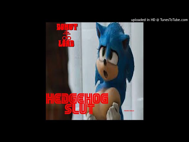 Donut Lord - Goin' 2 Da Club Wit Sonic.exe : Free Download, Borrow, and  Streaming : Internet Archive