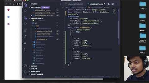 Working with ngx-graph module | Implement graph in Angular