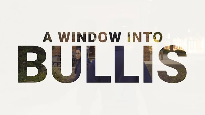 A Window Into Bullis