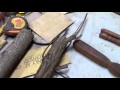 I Need Help Identifying These Indiana Tree Limbs Based on the Bark I Need Help Identifying These Indiana Tree Limbs Based on the Bark