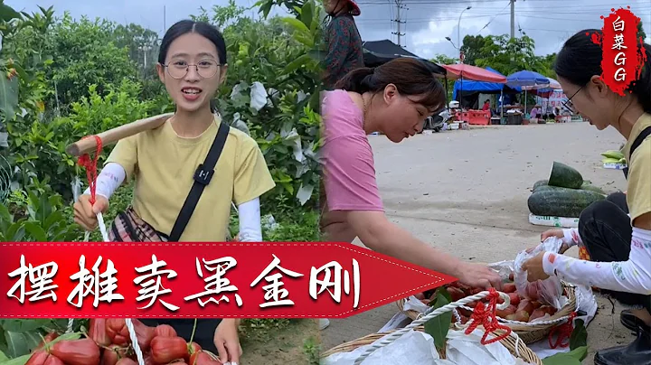 今天摘了兩筐黑金剛水果去擺攤，用翹翹的桿秤盤光光#農村生活 #food #新農人 #白菜GG - 天天要聞