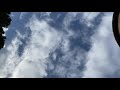 Watching Clouds Pass By | Soothing Natural Bird Sounds (No Music)