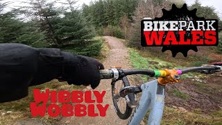 First run down WIBBLY WOBBLY at Bike Park Wales