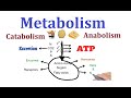 Concept of Metabolism  (Catabolism and anabolism)