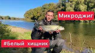 НАМИКРУШИЛ Жерехов | СПИННИНГ на Реке