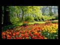 سورة الحج يوسف أبوسمرة حنني رواية السوسي عن أبي عمرو سورة الحج يوسف أبوسمرة حنني رواية السوسي عن أبي عمرو