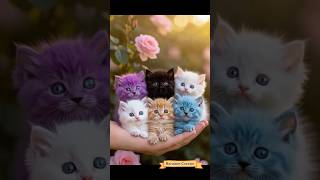 “Who wants to hold this bundle of fluff and happiness? 🐾💕” #shortvideo #trending #cat #catlover