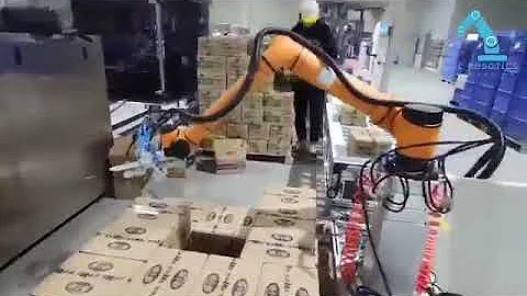 AE collaborative robot pick and place and palletizing robot 6 axis