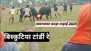 Jabarjast kada laray//Biskutiya tanti re//santali video 2025