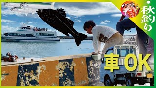 【河和】呑気にイワシ釣ってたらヤツに引きちぎられた…