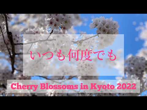 いつも何度でも Itsumo Nando Demo (Always With You)【Yukulele】
