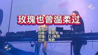 王娜《玫瑰也曾温柔过》Dj阿贵 ProgHouse Rmx KTV 导唱字幕 （备有伴奏视频）