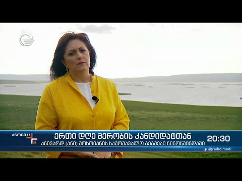 ერთი დღე მერობის კანდიდატთან