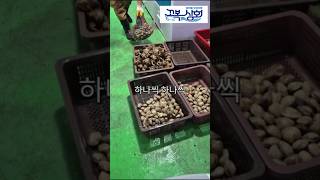 캠핑의 질을 높여주는거 머다?? #조개모듬 #어디서주문? #꼬복상회 #쇼츠 #술안주 #전복장 #말복 #삼복 #꼬복상회 #해산물맛집 #간장게장 #활전복 #초복 #말복 #캠핑요리