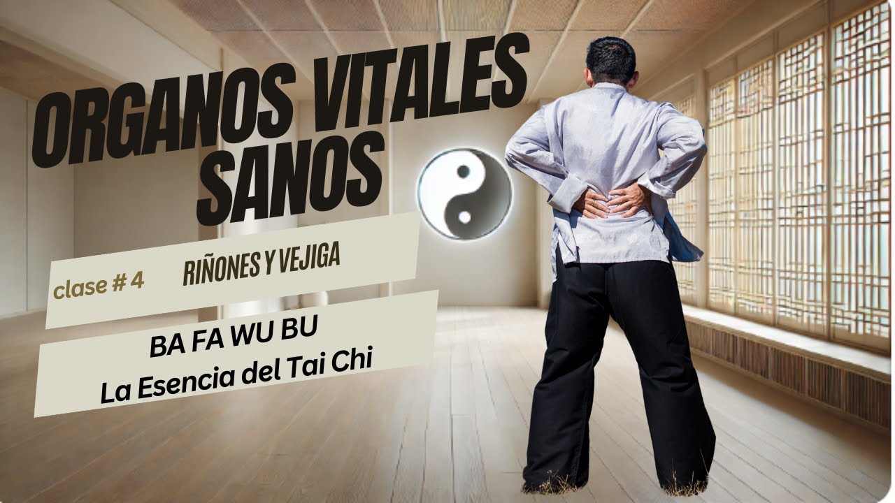 Órganos Vitales Sanos - Clase # 5: Riñones y Vejiga + Tai Chi Ba Fa Wu Bu