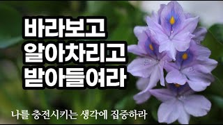 앞으로도 난 괜찮을 거라며 자기 자신을 격력하고 응원하고 칭찬하라 / 내 마음에 글로 붙이는 반창고